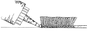 Figure 1 Figure 1